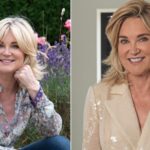 Anthea Turner Accident