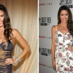 shannon elizabeth net worth