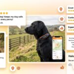 halo collar reviews